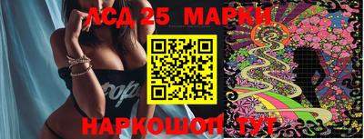 молекула духа Будённовск