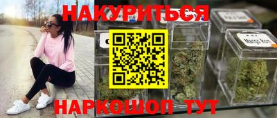 молекула духа Будённовск