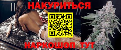 молекула духа Будённовск