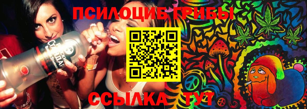 Псилоцибиновые грибы Cubensis Среднеуральск
